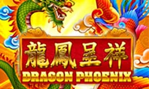 Dragon Phoenix