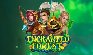 Enchanted Forest