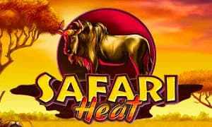 Safari Heat