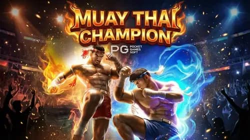 Muay Thai Champion