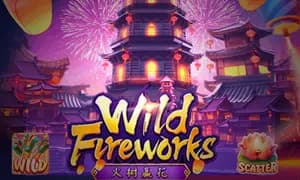 Wild Fireworks