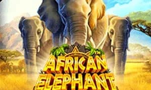 African Elephant™