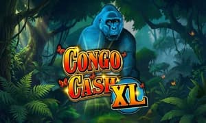 Congo Cash XL