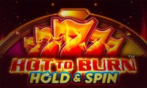 Hot to Burn Hold and Spin