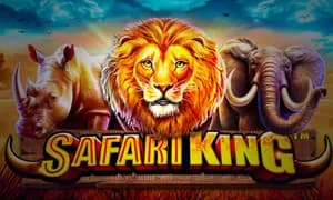 Safari King