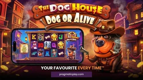 The Dog House – Dog or Alive
