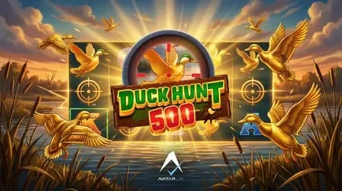 Duck Hunt 500