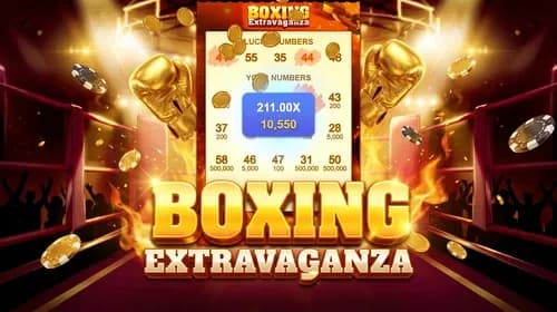 Boxing Extravaganza
