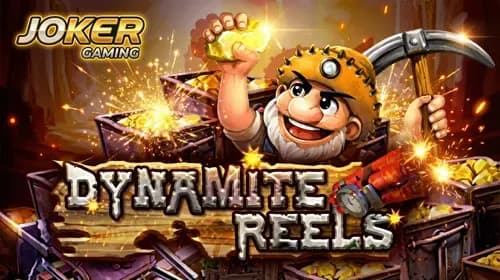 Dynamite Reels