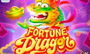Fortune Dragon
