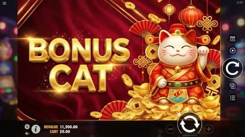 Bonus Cat