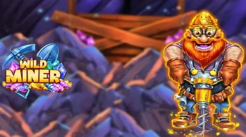 Wild Miner