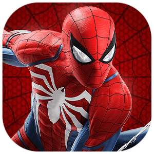 Spider Web
